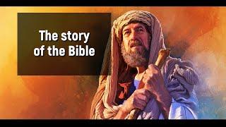 The Story of the Bible