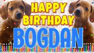 Happy Birthday Bogdan! ( Funny Talking Dogs ) What Is Free On My Birthday