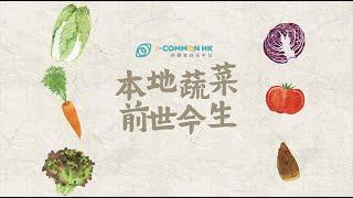 i-COMMON HK 本地菜系列·本地蔬菜的前世今生