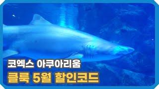 코엑스 아쿠아리움 & [클룩 5월 할인코드] 여행은 클룩과 함께! 이번 달 특가 정보 공유