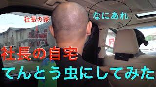 【切り抜き】社長の自宅を勝手にてんとう虫カラーにしてみた