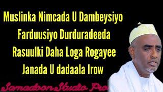 DANDAAWI 2023 | SHALILAAHI YA SANADII | QASAYID LYRICS SOMALI MUSIC Samadoon Studio Pro mp4.