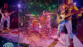 The Spacelords   Spaceflowers (Full Album) 2020