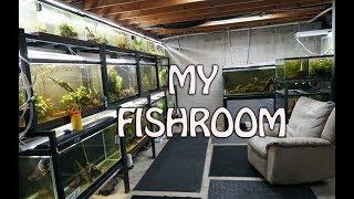 ALL my aquariums- Fishroom Tour!