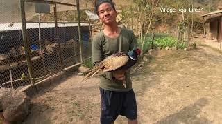 Pheasant Meat Cooking//Pheasant Farming//Kalij Farm Dangma Village Real Life