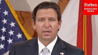 'People Will Be Held Accountable': Ron DeSantis Says Florida Has Evidence Of 'Fraudulent Petitions'