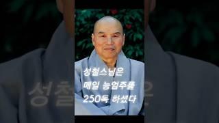 성철스님 매일 능엄주 250독  능엄주는 모든 주문 가운데 가장 수승한 주문이며 마장을 물리치고 바른 화두 참선을 가능하게 한다