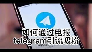 如何通过电报telegram引流吸粉