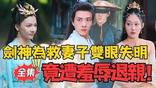 劍神為救妻子雙眼失明，竟遭羞辱退親！丨《一劍開天》#大陸劇 #電影 #shortdrama #cdrama #短劇
