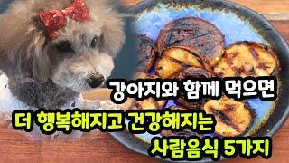 【강아지가 먹어도 되는 사람 음식】 엄마와 강아지가 함께 먹으면 더 행복해지고 건강해지는 음식, 채소 4가지!