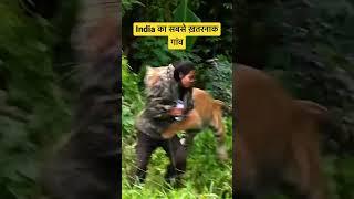 Most dangerous village to live |  #sundarkhal | #shorts | pooja Ranaut | #tigerattack