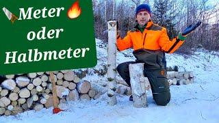 Meter oder Halbmeter Holz 🪚 im Wald sägen? Brennholz selber machen #brennholz #selbstversorger