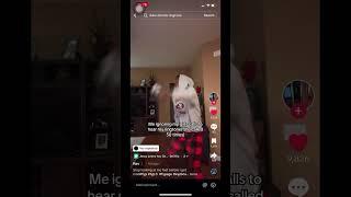 She be mad #dance #tiktok #fyy #tiktokvideo #tiktokviral #viral