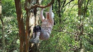 Josie Ambo is live! Tree Pull -Ups at Ho Pui Hiking  trail