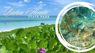 Experience Bahia Honda State Park and Looe Key - with site by site video of a prime keys campground