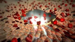 Medical Animation - Hepatic