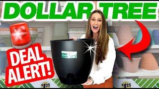 Why EVERYONE is grabbing these HUGE PLANTERS from Dollar Tree!  GENIUS outdoor patio DIYs