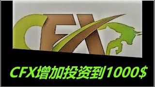 CashFX(Cash Forex Group)2020年最火爆项目之一 投资测试完成，追加投资到1000$