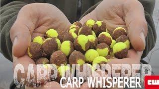 How to make special hookbaits. CARP WHISPERER TV