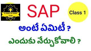 What is SAP in telugu | SAP ERP Introduction in telugu