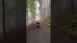 Misty rides in the Dolomites  #shorts #dolomites