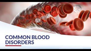 Understanding Blood Disorders - Types, Symptoms, and Treatment (4 Minutes Microlearning)