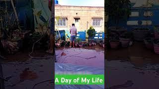 A Bachelor's Day #minivlog #cooking #gardening #suvosanta