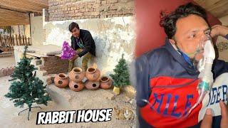 Rabbit House Ka Kam Start  Mamu Ko Kia Ho Gea 