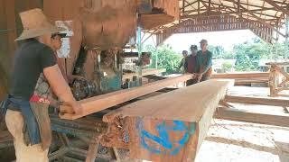 Sawmills/wood sawmill industry #sawmill