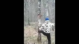 revenge by Tree #shorts #comedi