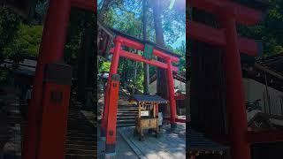 Torii