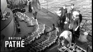 Navy Gets 'tiger' (1959)