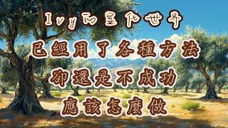 【Ivy靈性課堂】用了各種方式，顯化還是不成功？看看這些是不是被忽略了？｜吸引力法則｜假設法則｜聖多納釋放｜脈輪