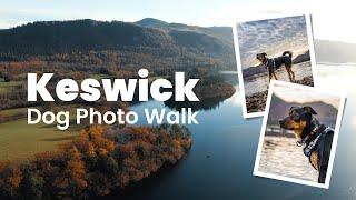 See how we take dog portraits in the Lake District | Walk With Us