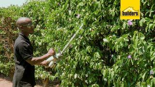 Hedge Trimming With The Ryobi Cordless Hedge Trimmer