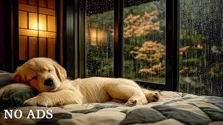 Dog MusicRelaxing Calming MusicCure Separation Anxiety Music to Calm Dogs