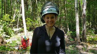 Winch & Pulley - Felling a tree against its lean