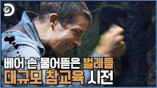 크큭 제법 용감하잖아? 단.백.질.주.제.에... 이젠 내 차례다!!! 베어그릴스 정글 정식 먹방 [Man vs Wild]