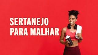 Sertanejo para Malhar em 2024  | Gusttavo Lima, Luan Santana e Mais!