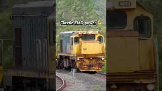 Classic EMD Power!  #train #kiwirail #railway #trainspotting