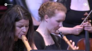 J.S. Bach: Brandenburgs Concert nr. 2 - Hofkapelle München - Live concert HD