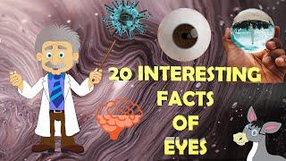 20 Interesting Facts Of Eyes|Connect Reality|Amazing Facts