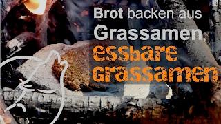 Survival Tipps & Tricks: Brot backen aus Grassamen, essbare Grassamen