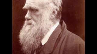 How Darwin Lost His Faith