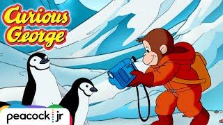 George & the Picture Perfect Penguins | CURIOUS GEORGE