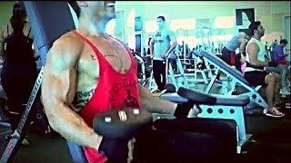 Rutina para Brazos Poderozos - Alan Valdez Fitness