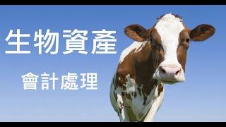 【會計學39】從零開始學習生物資產會計