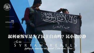 裤论 | 叙利亚叛军是为了民主自由吗？民小请冷静