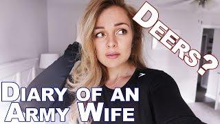 Diary of an Army Wife ft. My Husband! DEERS Horror Story?! Getting Married in the Military?