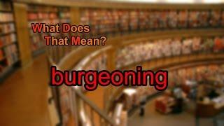 What does burgeoning mean?